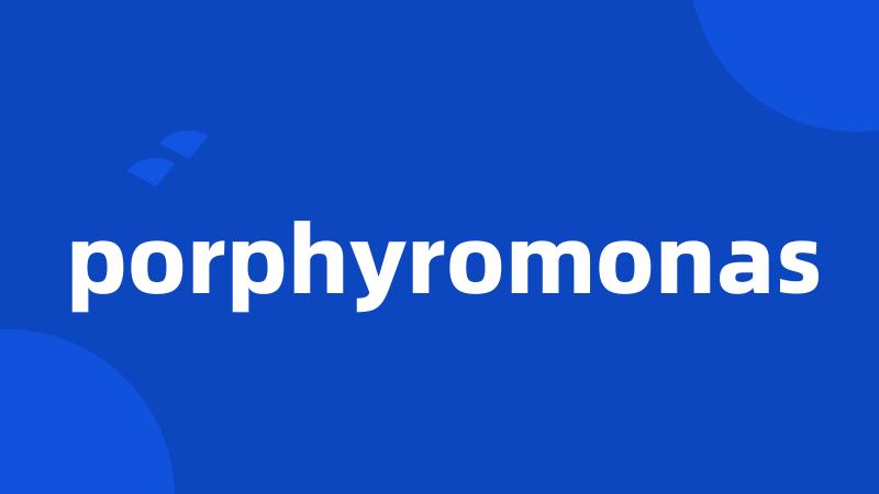 porphyromonas