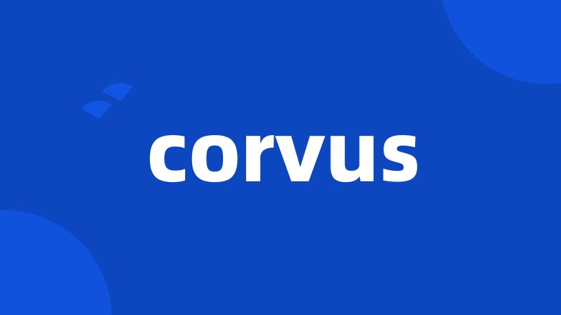 corvus