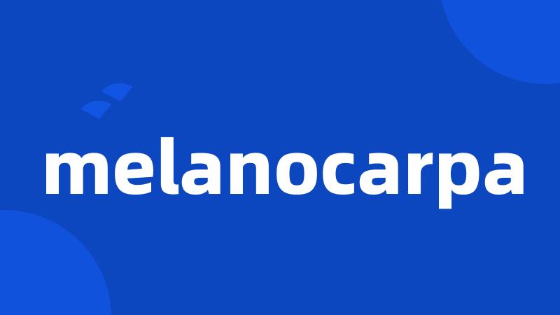 melanocarpa