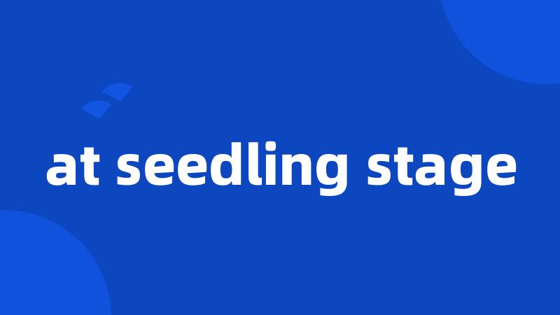 at seedling stage