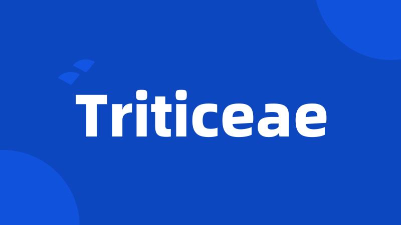 Triticeae