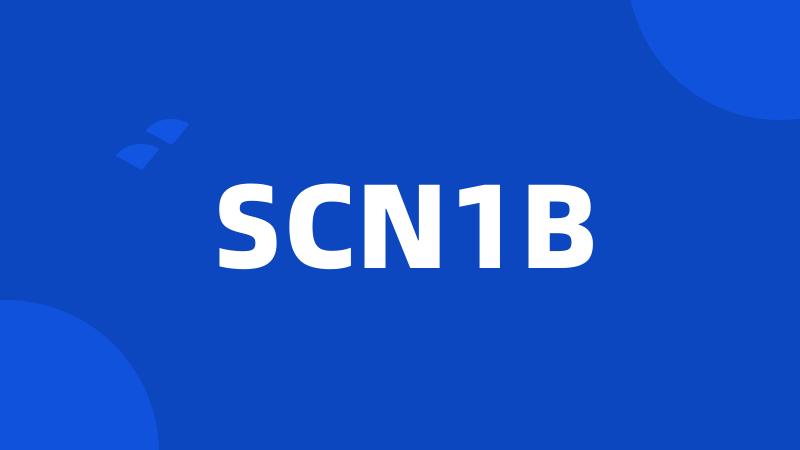 SCN1B