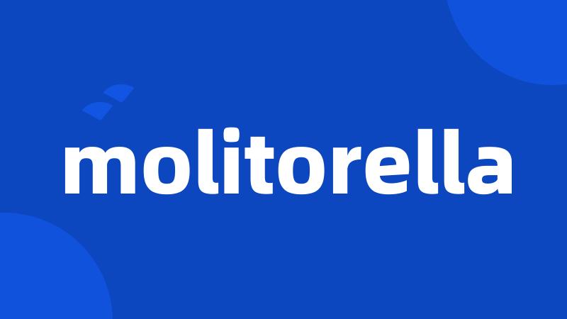 molitorella