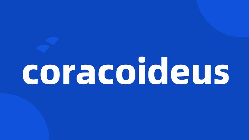 coracoideus
