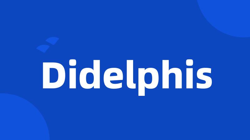 Didelphis