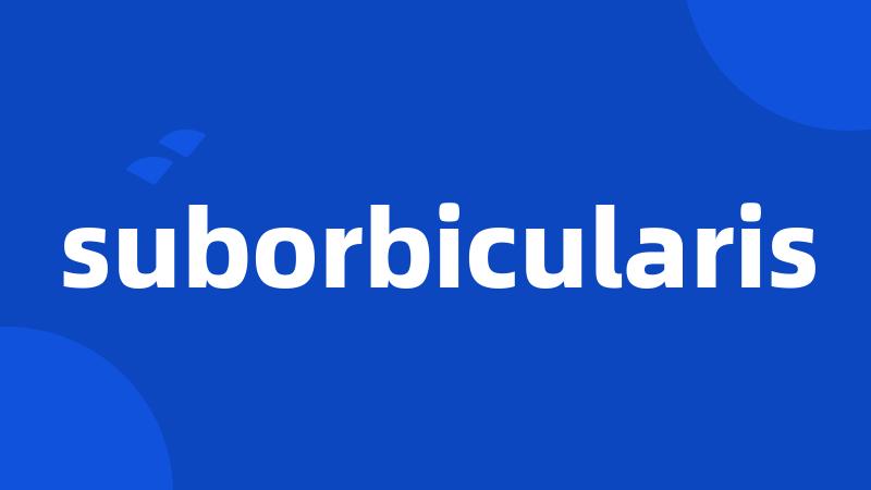 suborbicularis
