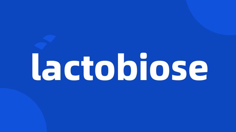 lactobiose