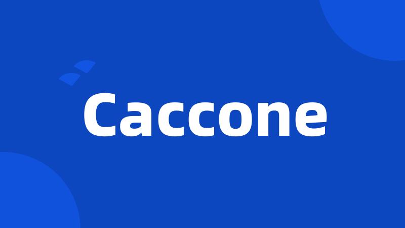 Caccone