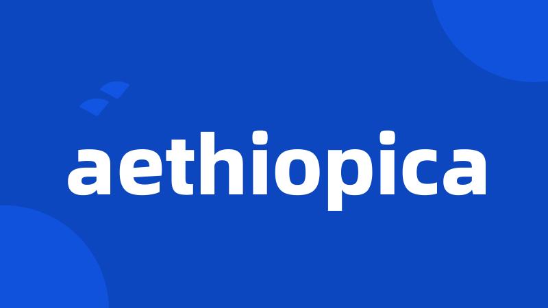 aethiopica
