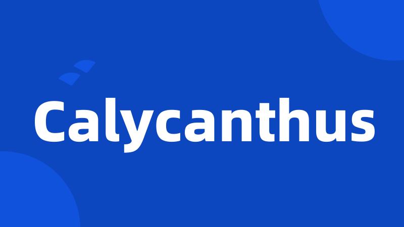 Calycanthus
