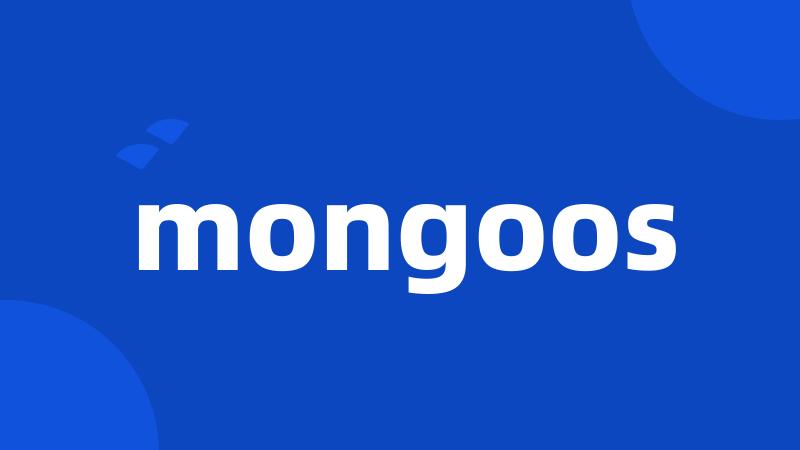 mongoos