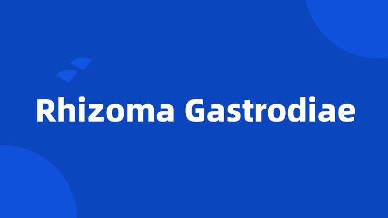 Rhizoma Gastrodiae