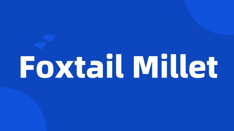 Foxtail Millet