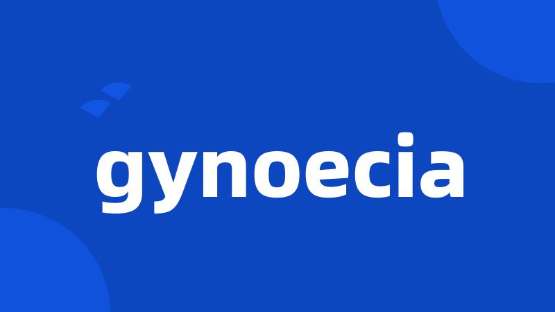 gynoecia