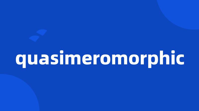 quasimeromorphic