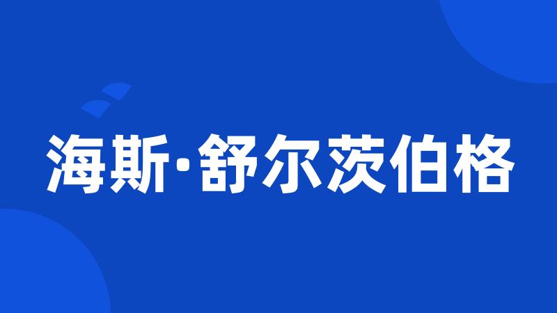 海斯·舒尔茨伯格