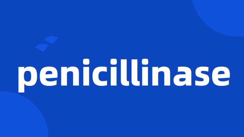 penicillinase