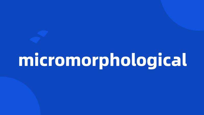 micromorphological