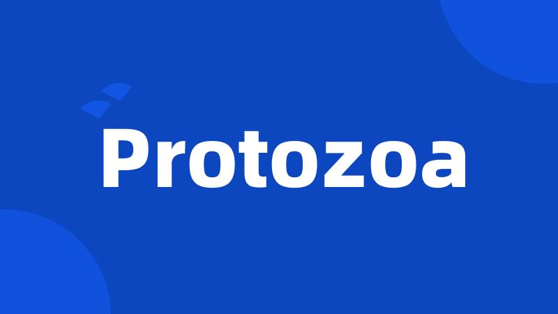 Protozoa