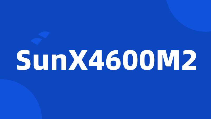 SunX4600M2