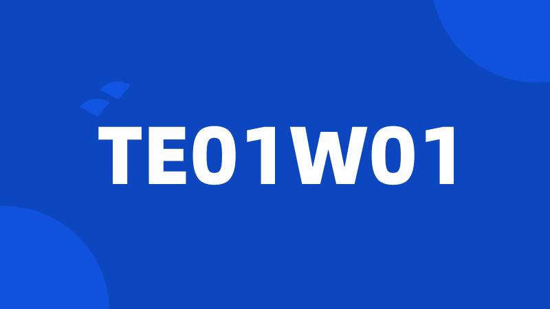 TE01W01