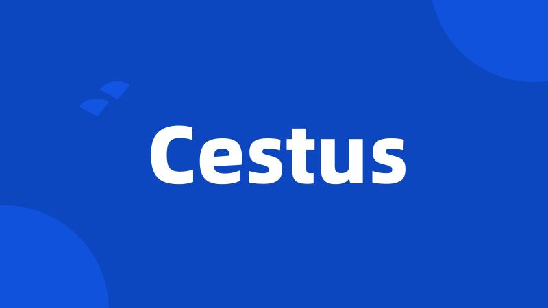 Cestus