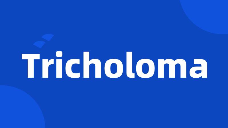 Tricholoma