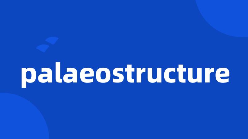 palaeostructure