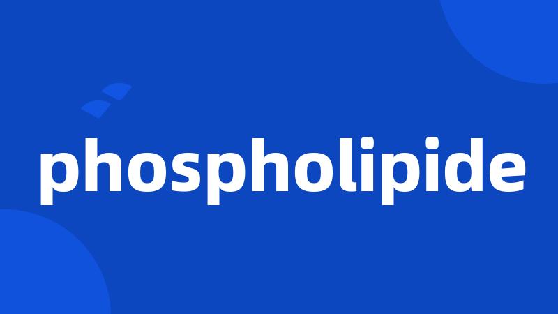 phospholipide