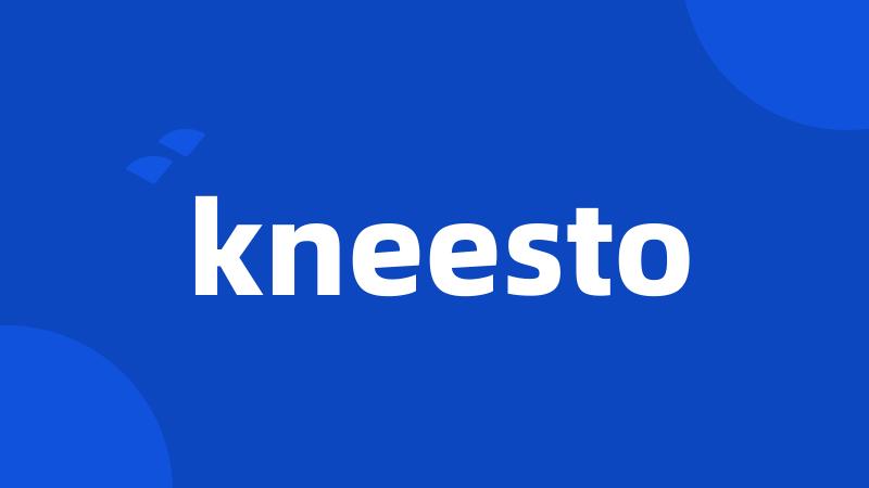 kneesto