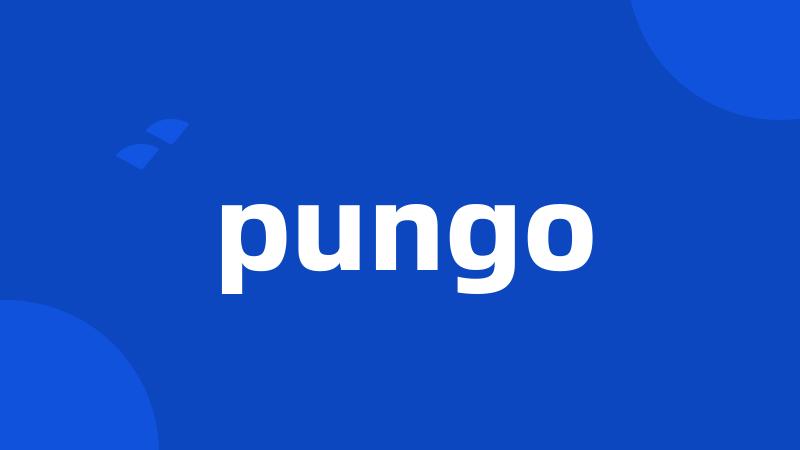 pungo