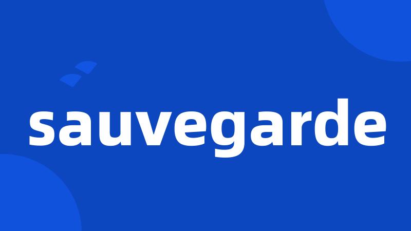 sauvegarde