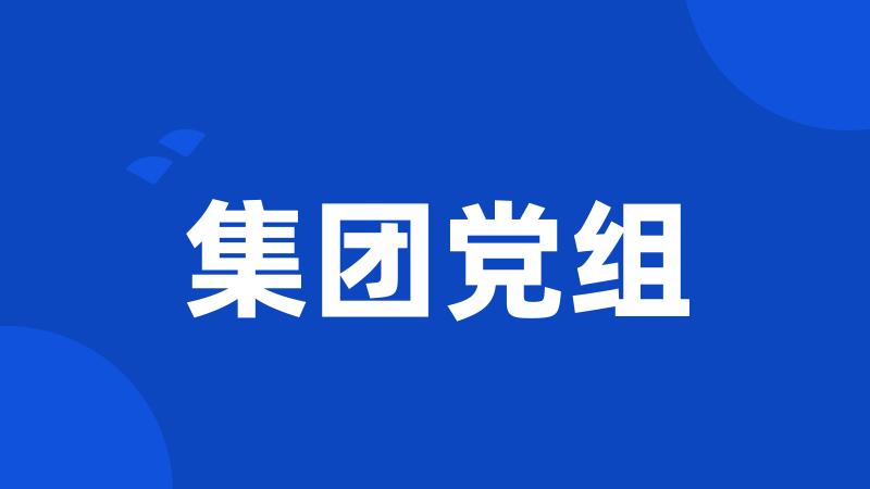 集团党组