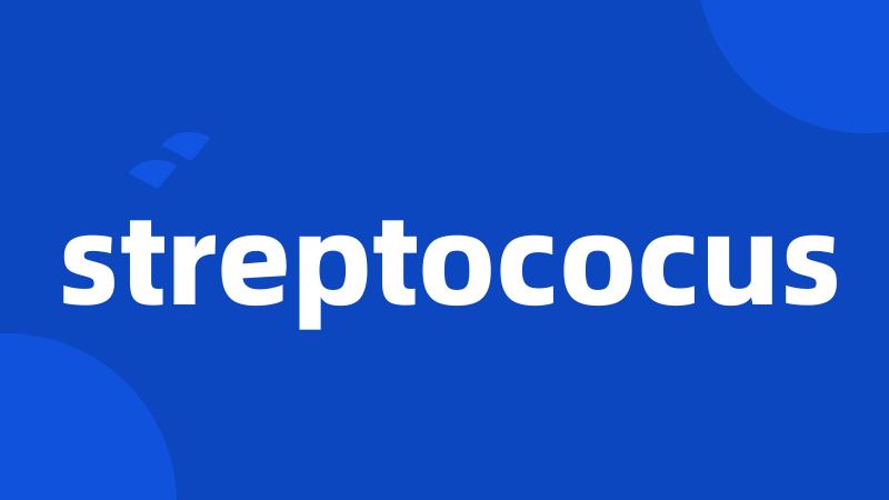 streptococus