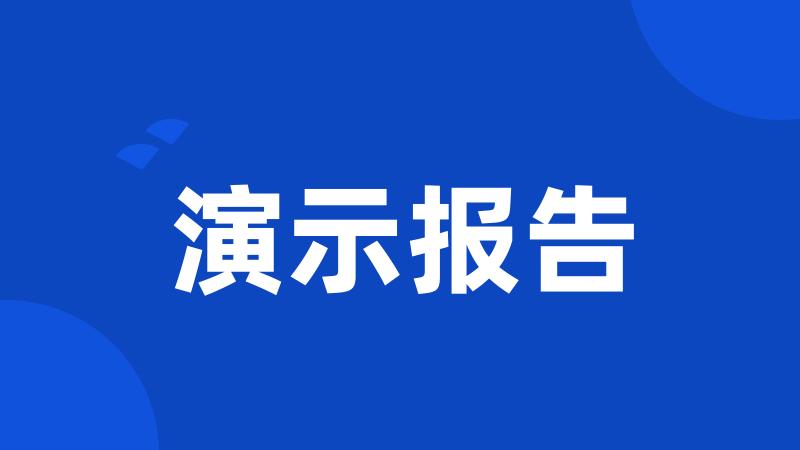 演示报告