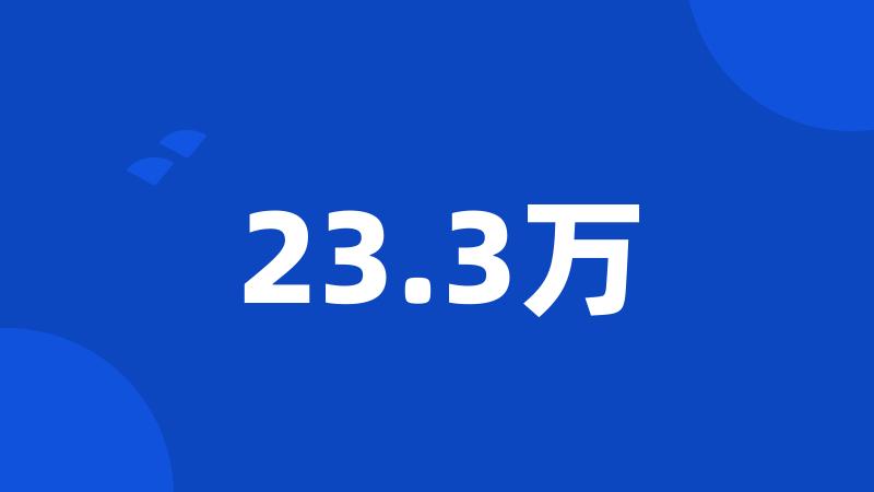 23.3万