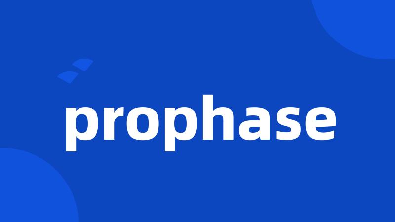 prophase