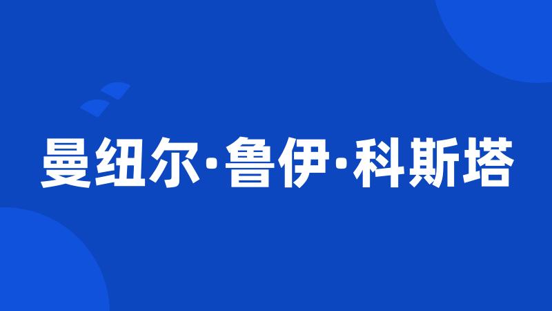 曼纽尔·鲁伊·科斯塔