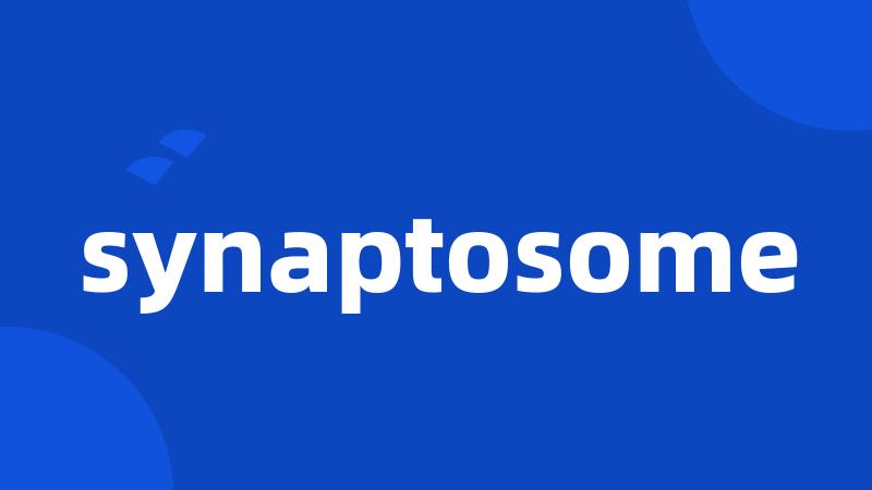 synaptosome