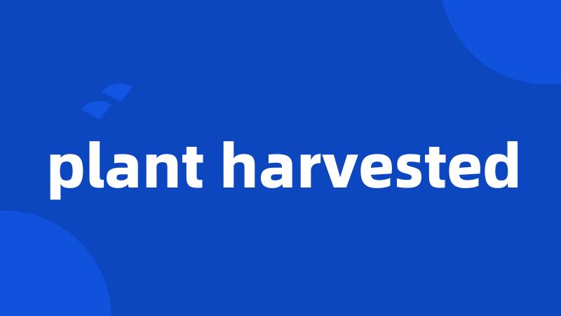 plant harvested