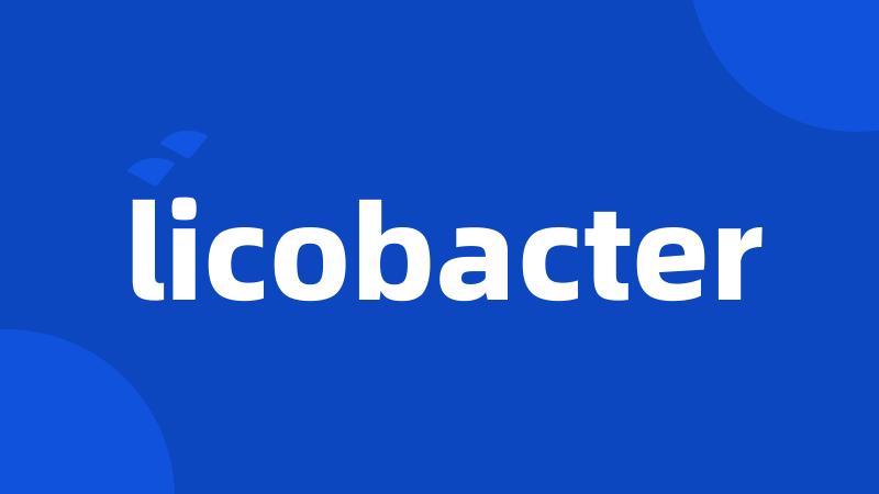 licobacter