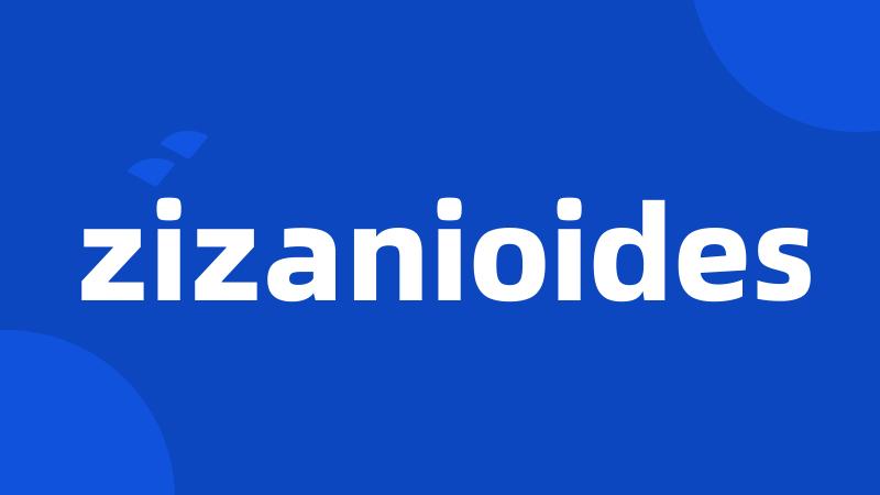 zizanioides