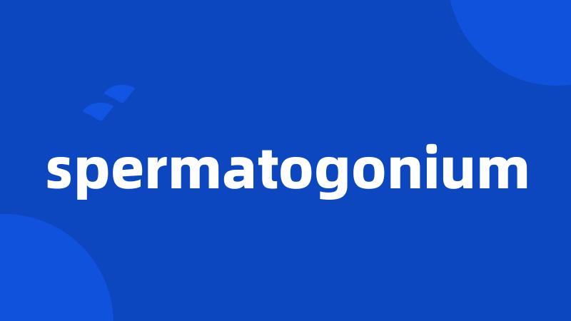 spermatogonium