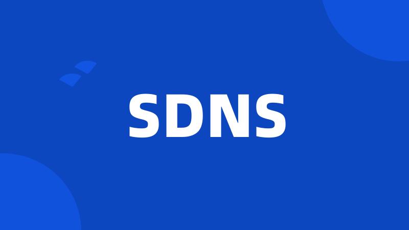 SDNS