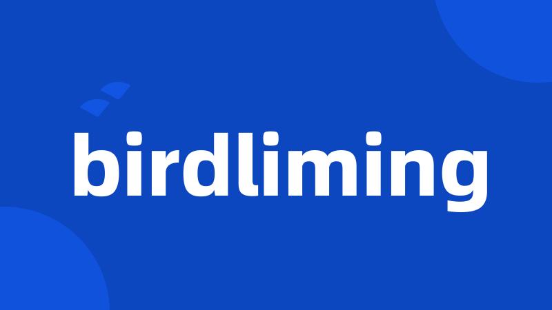 birdliming