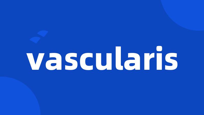 vascularis