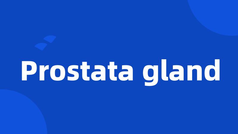 Prostata gland