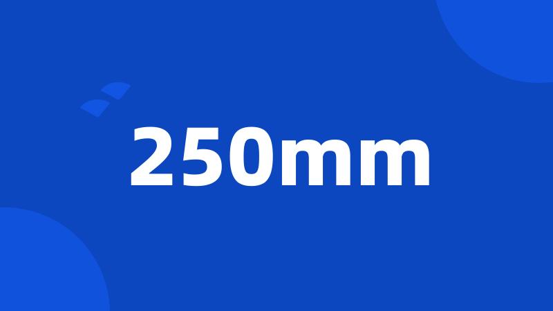 250mm