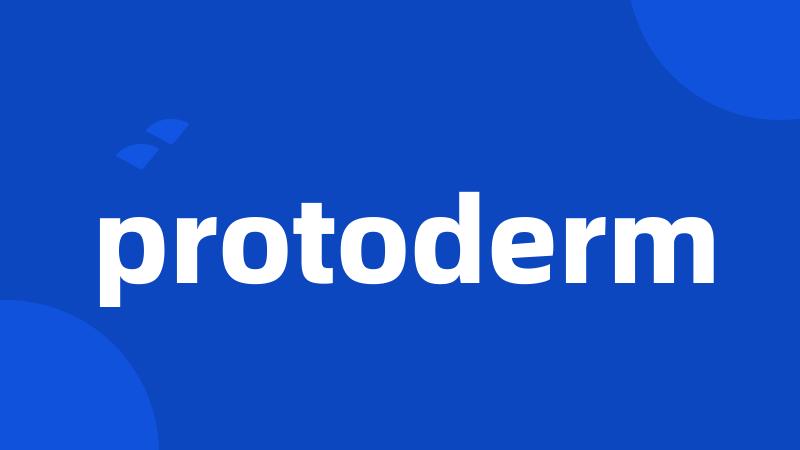 protoderm