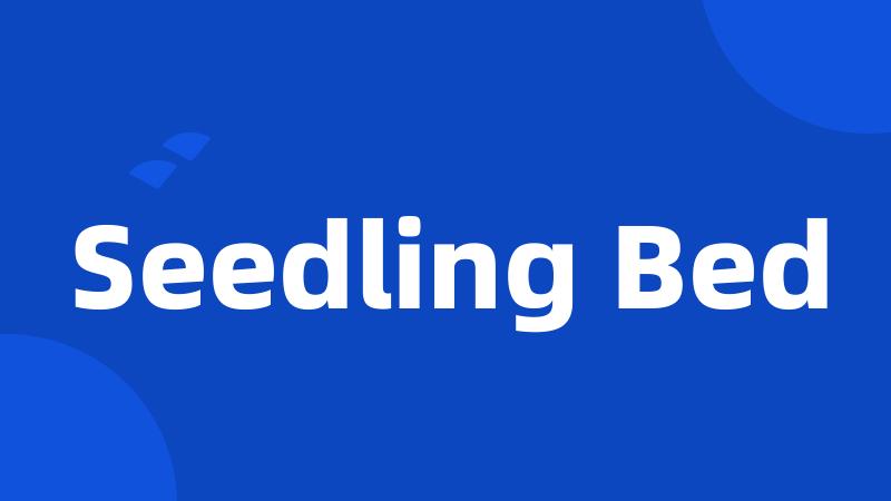 Seedling Bed